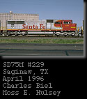 [ATSF 229]