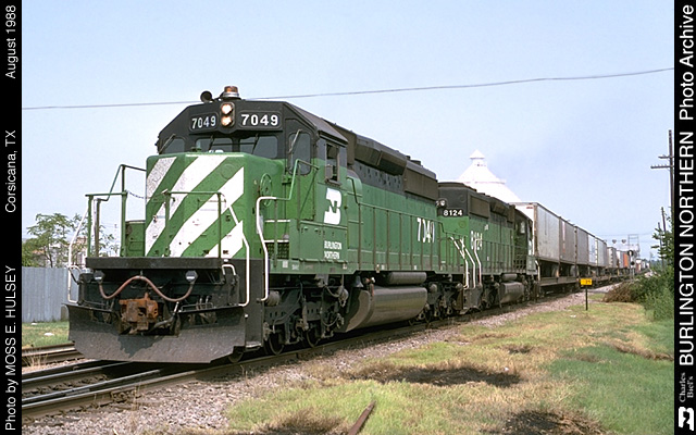 7049.JPG