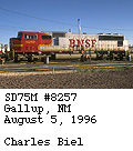 [BNSF 8257]
