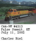 [BNSF 4313]