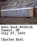 [BNSF 300134]