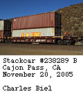 [BNSF 238289]