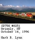 [BNSF 8251]