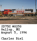 [BNSF 8258]