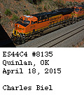 [BNSF 8135]