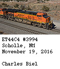 [BNSF 3994]